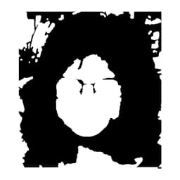 MIA Logo